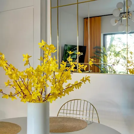 Wintera By Downtown *